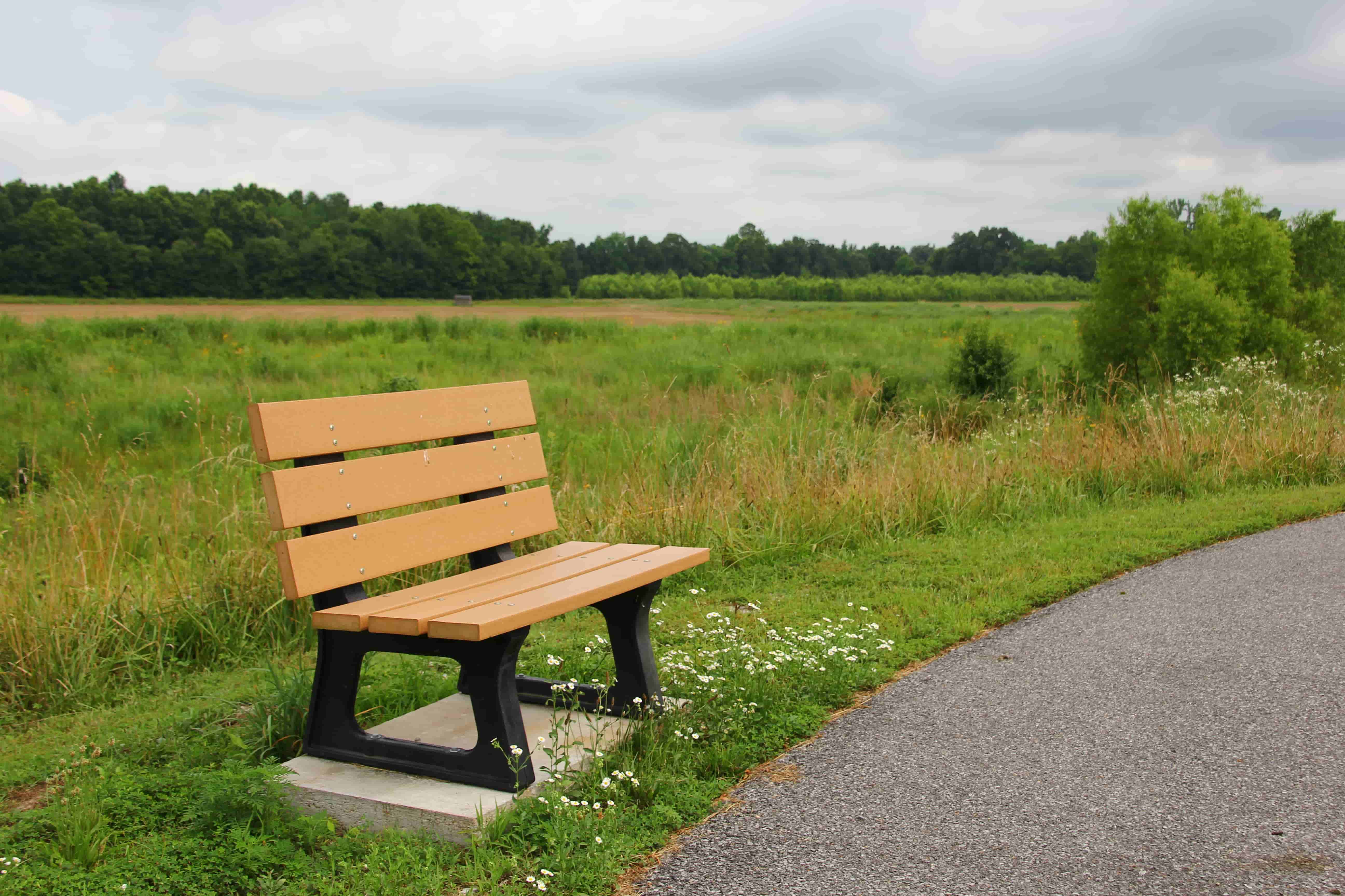 Clarks River Walking Trail